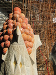 20867 Fruit and scaffolding.jpg